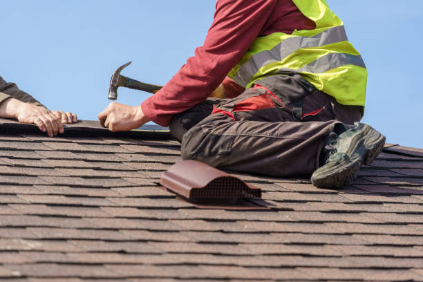 Best Local Roofing Companies  in Willows, CA